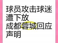 杏彩体育官网-中足联关注河南VS蓉城：谴责极端球迷的不当行为